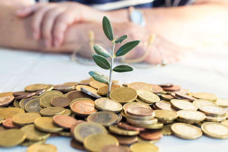 Regulatory Landscape of Eco-Finance in the United Kingdom: Opportunities and Challenges