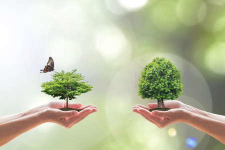 Vanguard vs. iShares UK Dividend Funds: Strategies for Sustainable Income