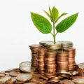ESG for SMEs: Overcoming Barriers and Unlocking Potential in the UK Market