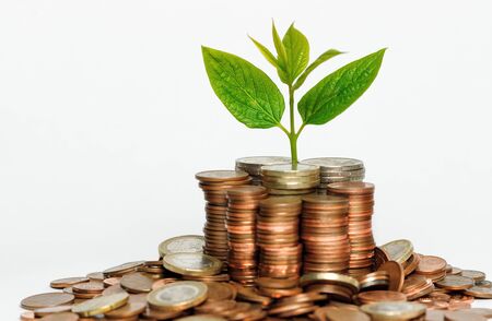 ESG for SMEs: Overcoming Barriers and Unlocking Potential in the UK Market