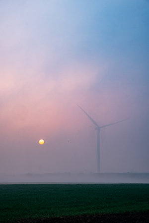 Comparative Study of Wind, Solar, and Hydro Energy Investment in the British Market