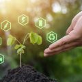 The Evolution of Enterprise Investment Schemes: Historical Development and Current Landscape in the UK