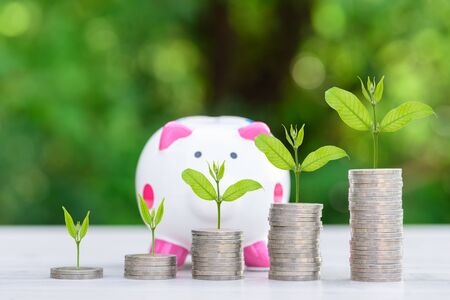 Tax-Efficient Retirement Planning: How the Lifetime Allowance Impacts Your Wealth