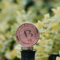 A Comprehensive Overview of Cryptocurrency Regulation in the UK: Past, Present, and Future