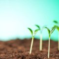The Rise of Green Energy Investments in the UK: Opportunities and Challenges