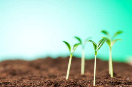 The Rise of Green Energy Investments in the UK: Opportunities and Challenges
