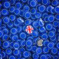 The Influence of Brexit on the Future of Sustainable & Ethical Investing in Britain