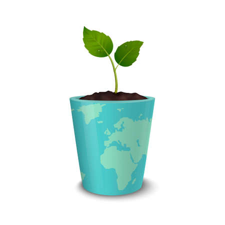 Performance and Market Trends