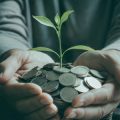 How to Invest Sustainably and Ethically in the UK