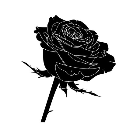 Economic Events and Their Effects on Portfolio Performance