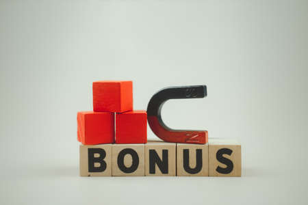 How Bonus Payments Function: Getting the Most from Your Lifetime ISA Contributions